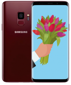 Samsung G960F Galaxy S9 2018 4/64Gb Burgundy Red