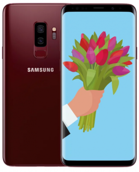 Samsung G965F Galaxy S9+ 2018 6/64Gb Burgundy Red