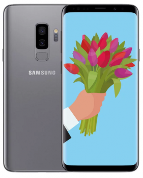 Samsung G965F Galaxy S9+ 2018 6/64Gb Grey